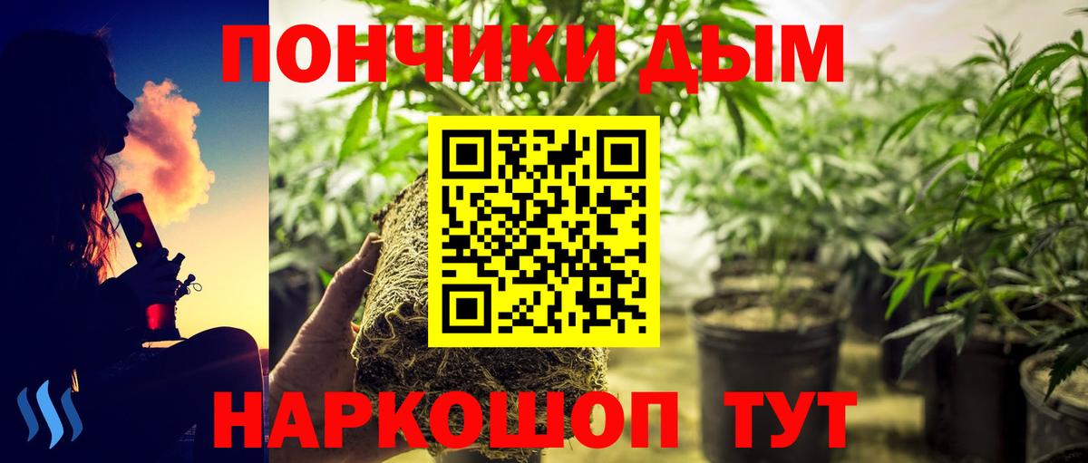 Каннабис сатива Славянск-на-Кубани